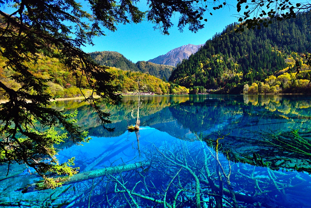 North Sichuan Wonder
